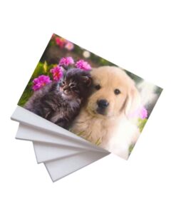 Papel Fotográfico Glossy 230g A4 c/ 20 Fls