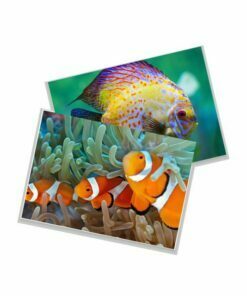 Papel Fotográfico Matte 170g A4 c/ 100 Fls
