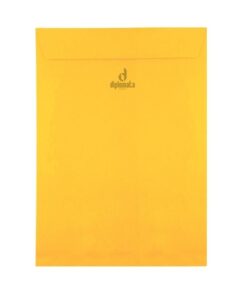 Envelope Color Plus Jamaica 80g saco 24x34